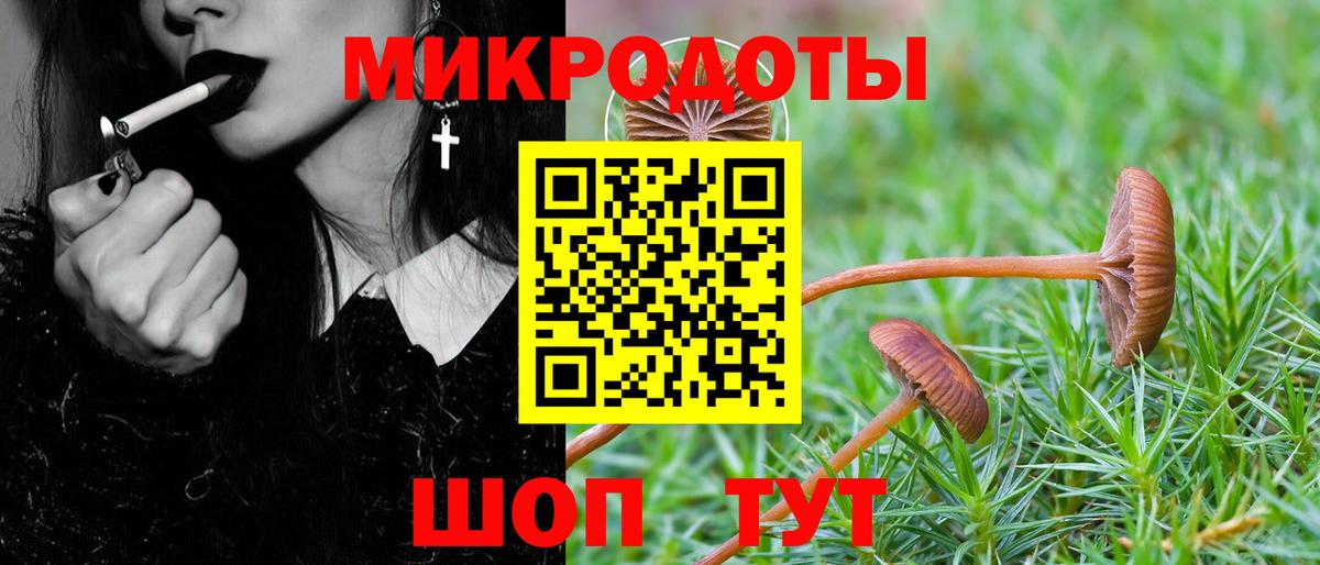 Карабулак  Псилоцибиновые грибы Cubensis  Вход с VPN  Псилоцибиновые грибы ЛСД 
